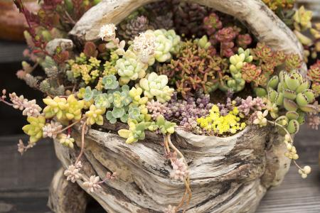 ƺӷⶳٶȼӿ쳤ȴﵽ631.3 ǧ׷ǡ